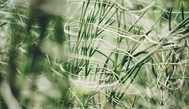 Πώς να φτιάξετε ένα τυχερό φυλαχτό με τα χέρια σας