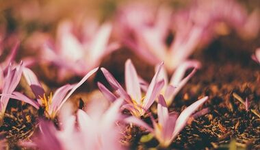 πώς να φτιάξετε ένα τυχερό φυλαχτό με τα χέρια σας